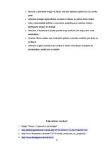 Eseja 'Harizmātiski līderi biznesā', 6.