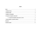 Referāts 'Reklāmas ietekme uz pusaudžiem', 2.