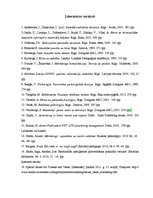 Referāts 'Reklāmas ietekme uz pusaudžiem', 14.