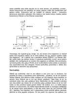 Referāts 'Centrmezgli (koncentratori), komutatori un maršrutētāji.To lietojumu veidi', 6.