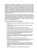 Referāts 'Centrmezgli (koncentratori), komutatori un maršrutētāji.To lietojumu veidi', 7.