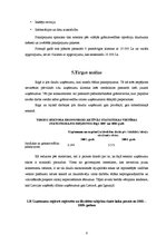 Referāts 'Uzņēmējdarbības plānošana - biznesa plāns', 8.