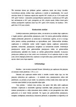 Referāts 'Uzņēmējdarbības plānošana - biznesa plāns', 10.