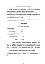 Referāts 'Uzņēmējdarbības plānošana - biznesa plāns', 13.