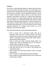 Referāts 'Uzņēmējdarbības plānošana - biznesa plāns', 15.