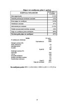 Referāts 'Uzņēmējdarbības plānošana - biznesa plāns', 19.