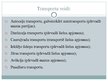 Prezentācija 'Transporta sistēmas; salīdzinājums Baltijas valstīs', 10.