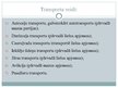 Prezentācija 'Transporta sistēmas; salīdzinājums Baltijas valstīs', 10.