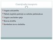 Prezentācija 'Transporta sistēmas; salīdzinājums Baltijas valstīs', 15.