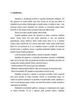 Referāts 'Saplāksnis', 2.