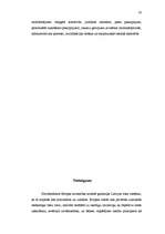 Referāts 'LR Tieslietu ministrija', 11.