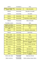 Konspekts 'Minerāli', 4.