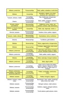 Konspekts 'Minerāli', 5.