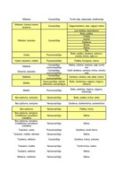 Konspekts 'Minerāli', 6.