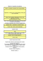 Konspekts 'Minerāli', 19.