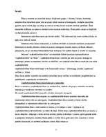 Referāts 'Uzņēmējdarbības ētika', 3.