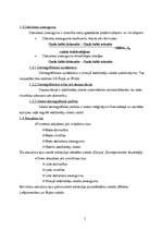 Referāts 'Demogrāfiskā situācija Rīgā un Latvijā 2005.gadā', 5.