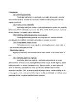 Referāts 'Demogrāfiskā situācija Rīgā un Latvijā 2005.gadā', 6.