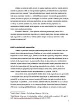 Referāts 'Darba devēju organizācijas lobijs ES institūcijās', 5.