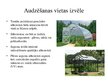 Prezentācija 'Tomātu audzēšana segtajās platībās', 2.