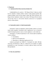 Diplomdarbs 'Projekts: Deserta sviesta ražošanas uzņēmuma izveide', 17.