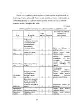 Diplomdarbs 'Projekts: Deserta sviesta ražošanas uzņēmuma izveide', 86.