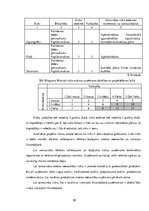 Diplomdarbs 'Projekts: Deserta sviesta ražošanas uzņēmuma izveide', 90.