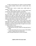 Referāts 'Darba grupa', 4.