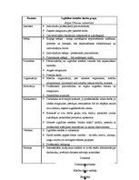 Referāts 'Darba grupa', 5.