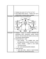 Referāts 'Darba grupa', 6.