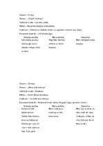 Prakses atskaite 'Prakses atskaite pirmsskolā', 8.