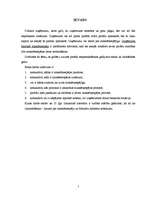 Referāts 'Uzņēmuma maksātnespēja', 2.