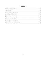 Referāts 'Starptautiskais tūrisms', 2.