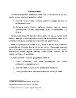 Referāts 'Starptautiskais tūrisms', 4.