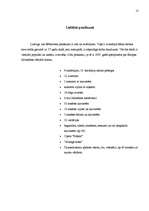 Referāts 'Ludvigs van Bēthovens', 13.