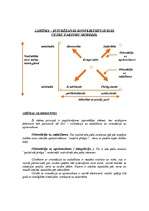 Prakses atskaite 'Metodiskās prakses atskaite', 8.