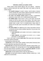 Referāts 'Uzņēmuma izmaksu analīze', 15.