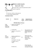 Konspekts 'Stundas konspekts sporta stundai 1.klasei', 1.