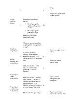 Konspekts 'Stundas konspekts sporta stundai 1.klasei', 2.