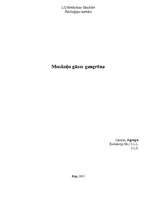 Konspekts 'Muskuļu gāzes gangrēna', 1.