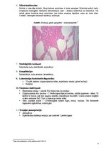 Konspekts 'Muskuļu gāzes gangrēna', 4.