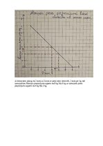 Konspekts 'Mājas darbs mikroekonomikā
2025./2026. studiju gada rudens semestrim', 12.