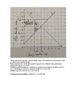 Konspekts 'Mājas darbs mikroekonomikā
2025./2026. studiju gada rudens semestrim', 29.