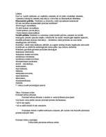 Konspekts 'Politoloģija', 12.