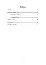 Referāts 'Inflācija - tās veidi, cēloņi, sekas', 2.