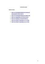 Referāts 'Marka Rotko mākslas un informācijas centrs Daugavpilī', 11.