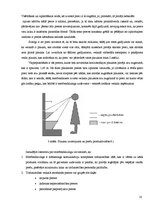 Referāts 'Iepirkšanās atkarības rašanās saistība ar personības vajadzību apmierināšanu pie', 10.