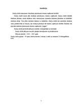 Referāts 'Reklāmas pielietojums tūrisma uzņēmuma darbībā', 3.