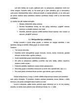 Referāts 'Reklāmas pielietojums tūrisma uzņēmuma darbībā', 10.