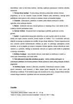 Referāts 'Reklāmas pielietojums tūrisma uzņēmuma darbībā', 26.